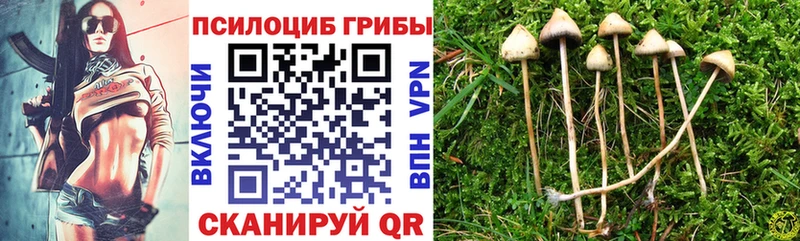 MEGA вход Тюкалинск Галлюциногенные грибы Psilocybine cubensis
